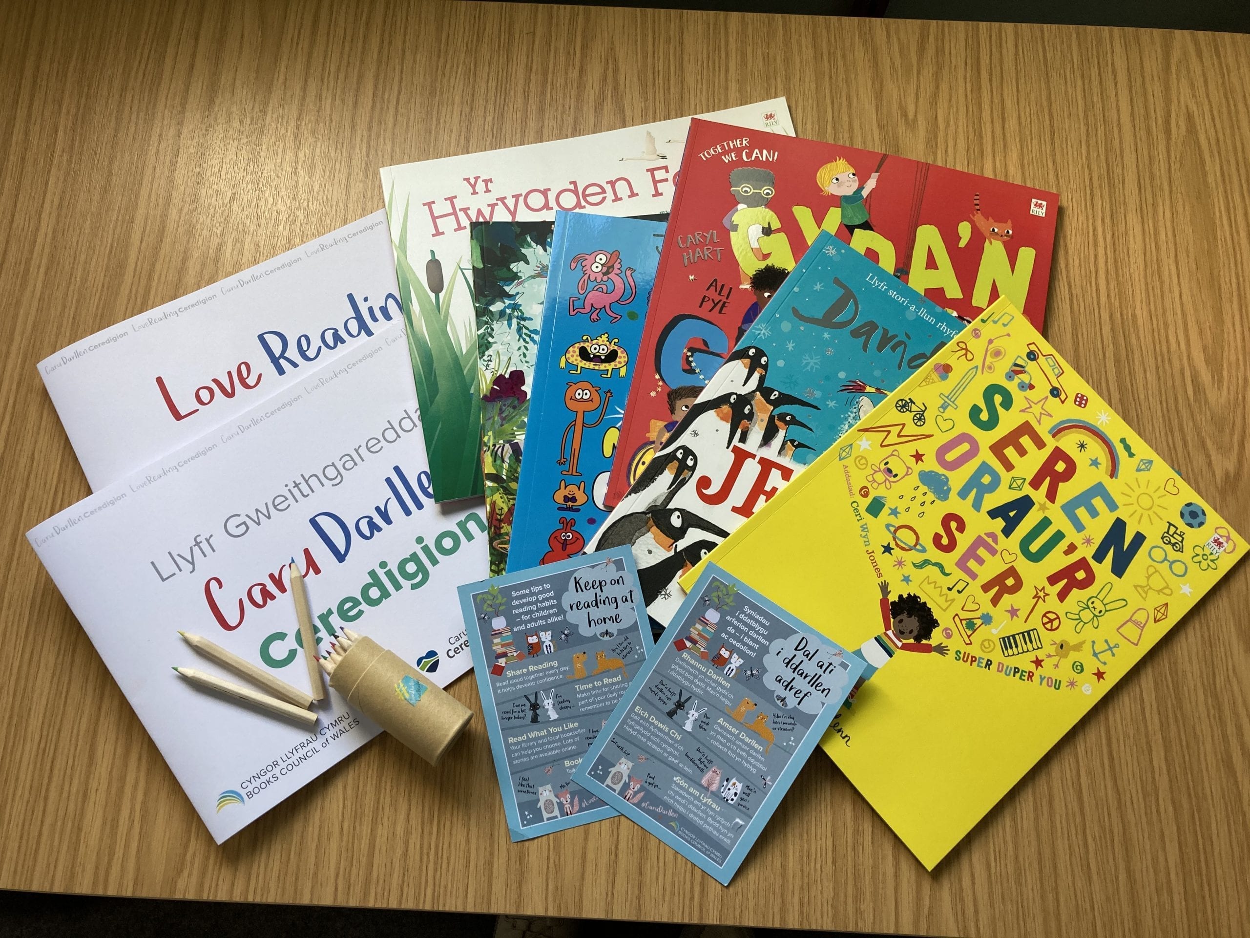 Summer of Reading for Children and Young People in Ceredigion