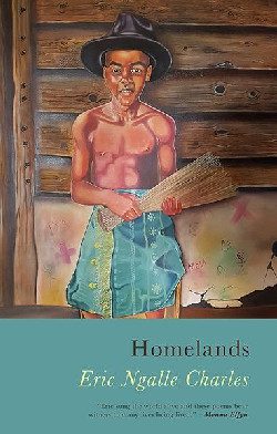 Homelands by Eric Ngalle Charles