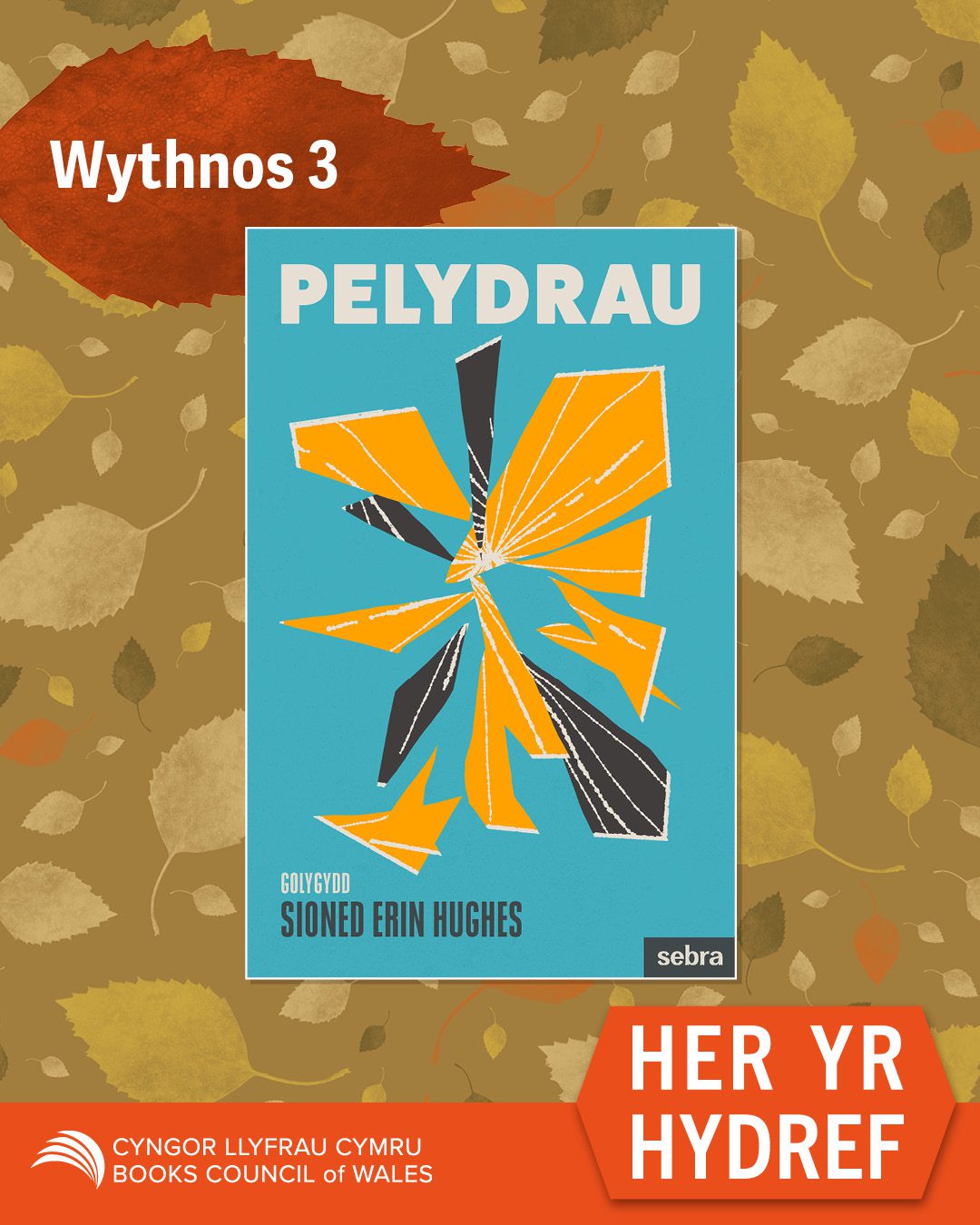 Her yr Hydref-insta-CYM_05