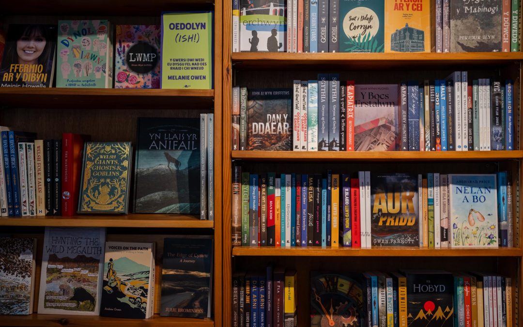 Cyngor Llyfrau yn croesawu £350,000 gan Lywodraeth Cymru i gefnogi’r diwydiant cyhoeddi